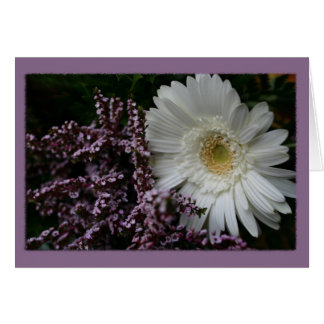 Vit blommiga lila, bakgrund hälsningskort