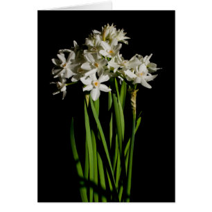 Vit blommiga Vår-händelse och Bröllop-kort Hälsningskort