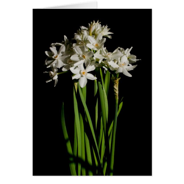 Vit blommiga Vår-händelse och Bröllop-kort Hälsningskort (Framsidan)