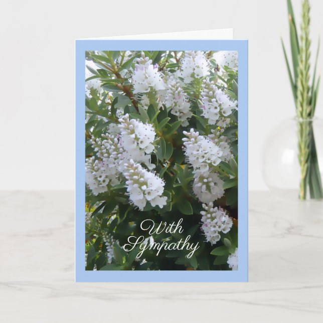 Vit blommigt Sympathy Card Kort (Framsida)