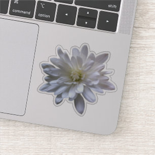 Vit blommigt vit daisy vit morsa vit blomma klistermärken