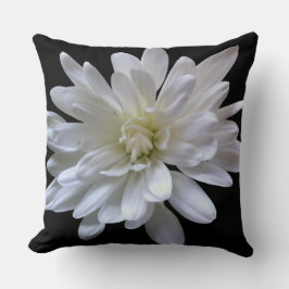 Vit blommigt vit daisy vit morsa vit blomma kudde