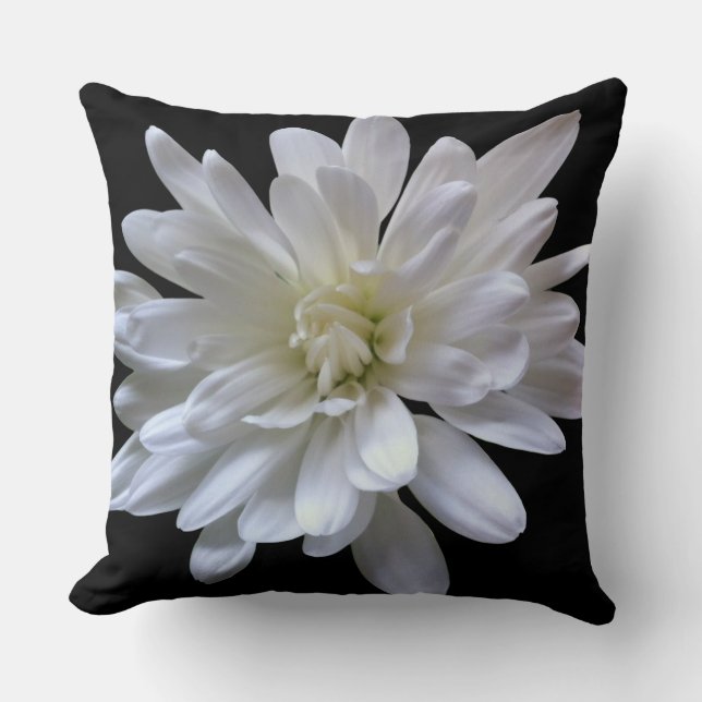 Vit blommigt vit daisy vit morsa vit blomma kudde (Framsida)