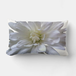 Vit blommigt vit daisy vit morsa vit blomma lumbarkudde