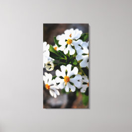 vit blomster vårflora samling canvastryck
