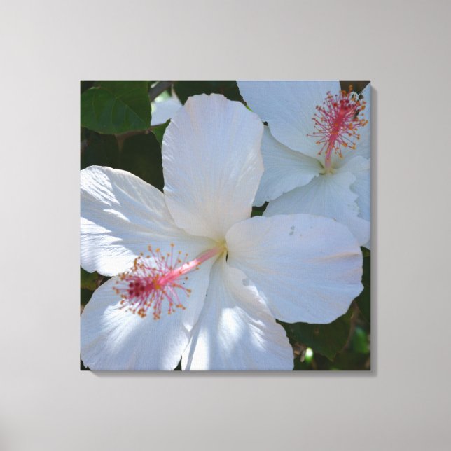 Vit blomsterdoft inslagen canvas (Framsida)