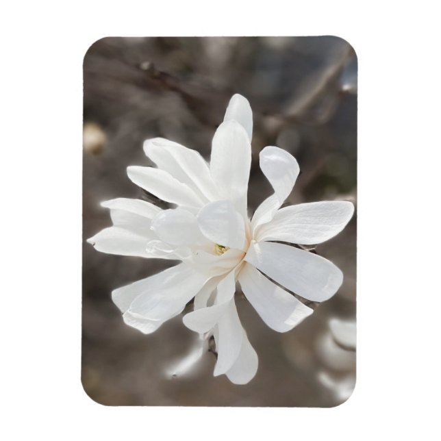 Vit blomsterfotomagnet magnet (Vertikal)