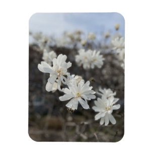 Vit blomsterfotomagnet magnet