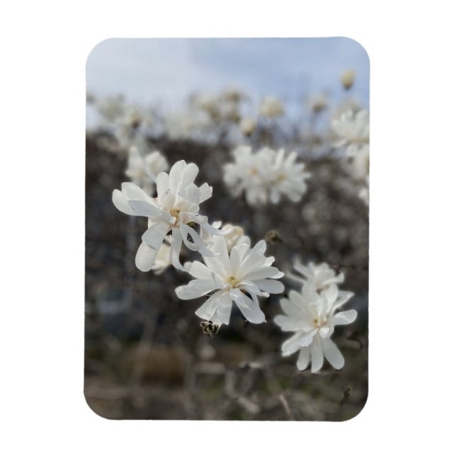 Vit blomsterfotomagnet magnet (Vertikal)