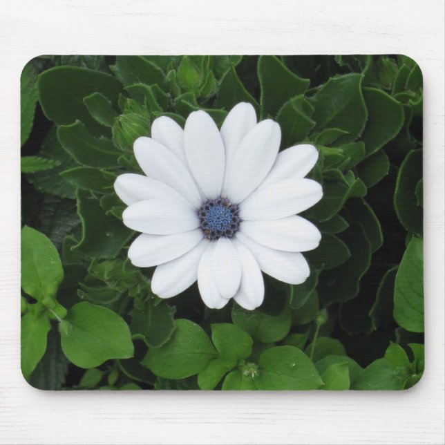 Vit blomstermunspets musmatta (Framsidan)