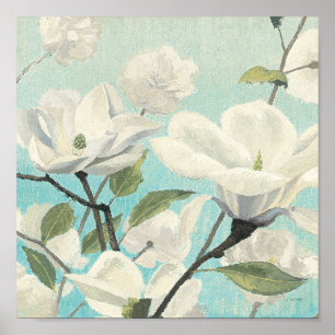 Vit blomstrar från söderna poster