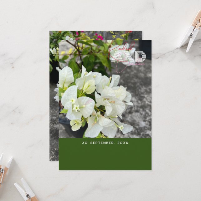 vit bougainvillea eller pappersblomma vit som snö inbjudningar (Fram/Back In Situ)