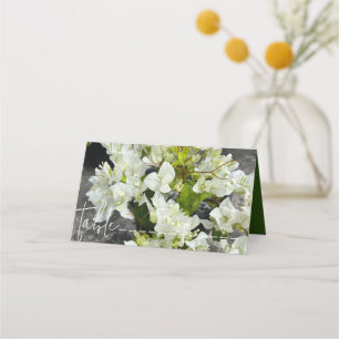vit bougainvillea eller pappersblomma vit som snö placeringskort