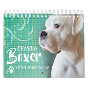 Vit boxerväggskalender kalender
