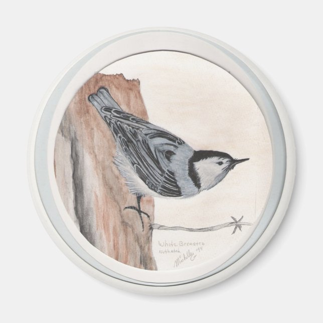 vit bröstad nuthatch magnet (Framsidan)