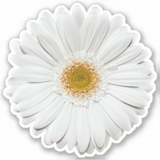 Vit bruna Daisyn Flower Kiss-Clickle-kemcker Klistermärken