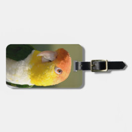 Vit buktad Caiquepapegoja Bagagebricka