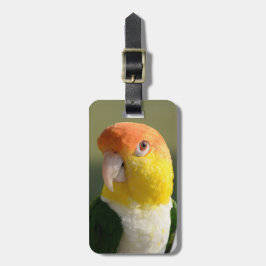 Vit buktad Caiquepapegoja Bagagebricka
