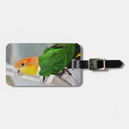 Vit buktad Caiquepapegoja Bagagebricka