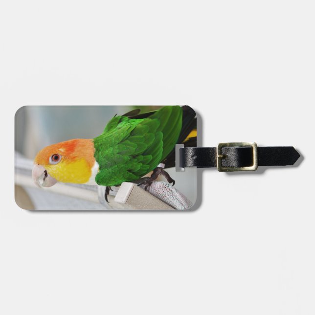 Vit buktad Caiquepapegoja Bagagebricka (Horisontell Framsida)