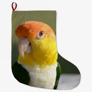 Vit buktad Caiquepapegoja Stor Julstrumpa