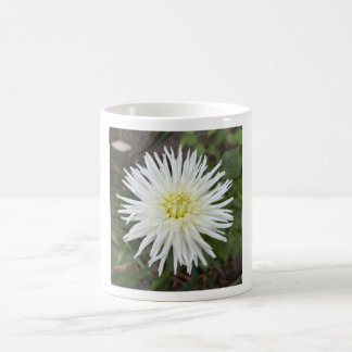 Vit Cactus Dahlia Blommig Mugg