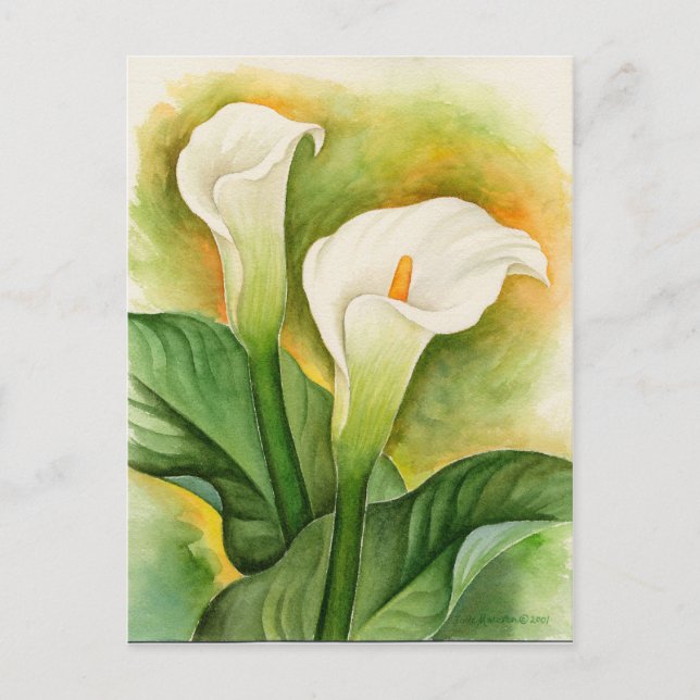 Vit Cala Lily Blommig Akvarell Vykort (Framsida)
