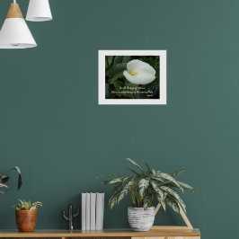 Vit Calla Lily Aristoteles Filosofisk Citat Poster