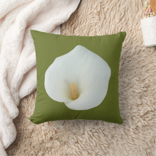 Vit Calla Lily Blomma Trädgård Bakgård Foto Kudde