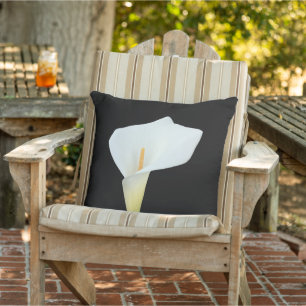 Vit Calla Lily Blomma Trädgård Bakgård Foto Kudde