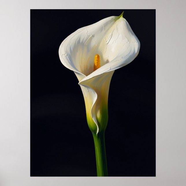 Vit Calla Lily Finkonst Oljemålning Tryck, Mörk Poster (Framsidan)
