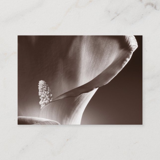 Vit Calla Lily, svart bakgrund Visitkort (Framsida)