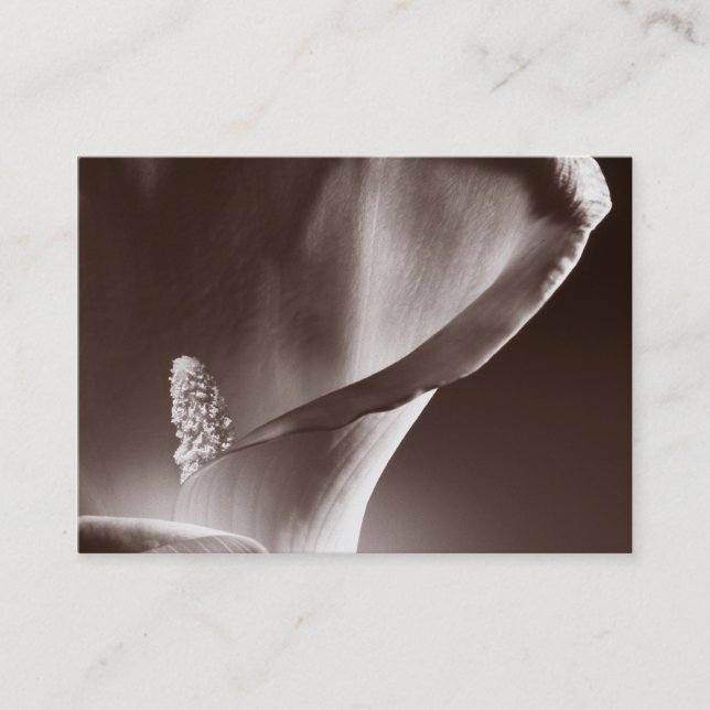 Vit Calla Lily, svart bakgrund Visitkort (Framsida)