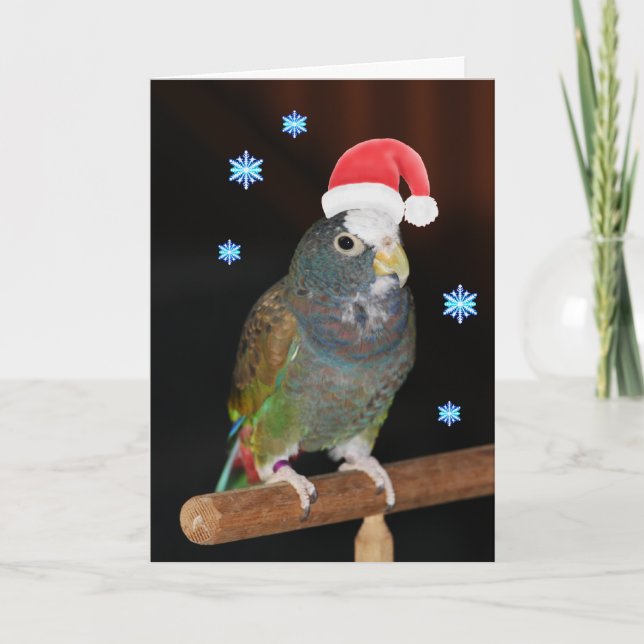 Vit-capped Pionus Santa hälsningar Helgkort (Framsida)