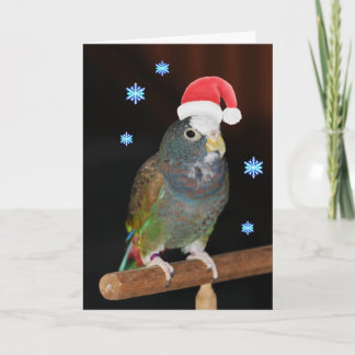 Vit-capped Pionus Santa hälsningar Helgkort