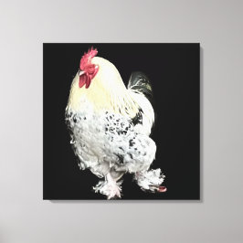 Vit Cockerel med fjäderfötter nr 2 Canvastryck