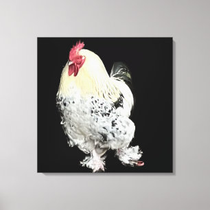 Vit Cockerel med fjäderfötter nr 2 Canvastryck
