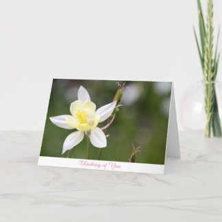 Vit Columbine som är tänkande av dig, Card Kort