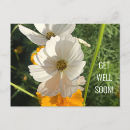 VIT COSMOSBLOMMA SNART FRISK IGEN VYKORT