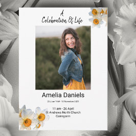 Vit Daffodil Firande i livstidsfoto Meddelande