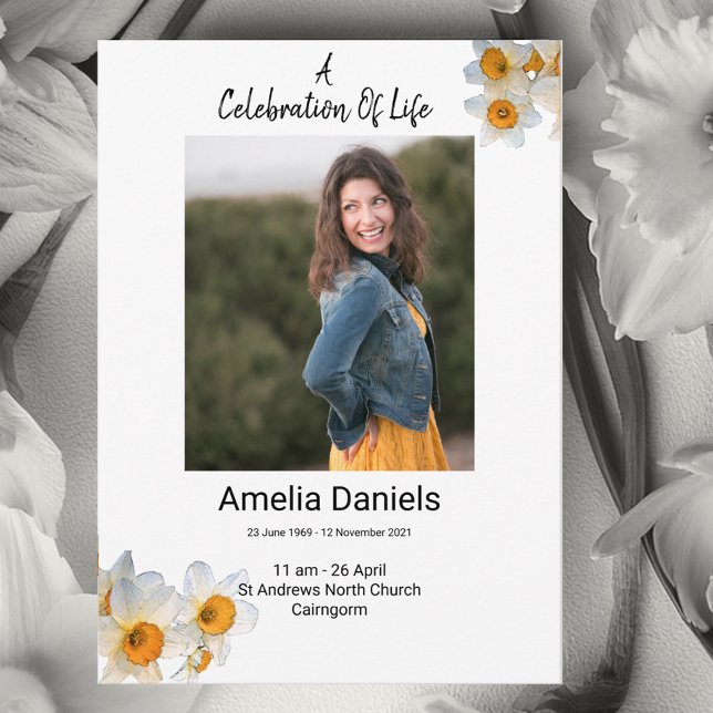 Vit Daffodil Firande i livstidsfoto Meddelande (Skapare uppladdad)