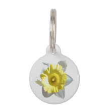 Vit Daffodil Hund ID-märket