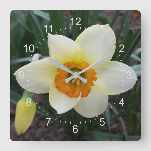 vit daffodil-skugga fyrkantig klocka (Framsida)