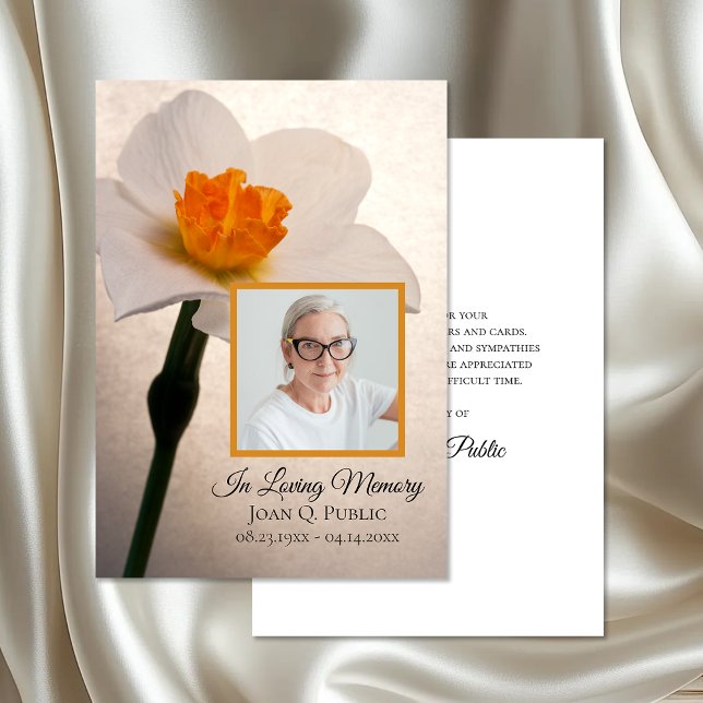 Vit Daffodil Vår Funeral Memorial Sympathy Tack Kort (Skapare uppladdad)