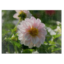 Vit dahlia i trädgårdsfotot