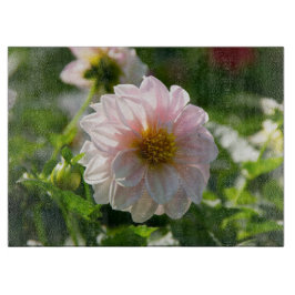 Vit dahlia i trädgårdsfotot