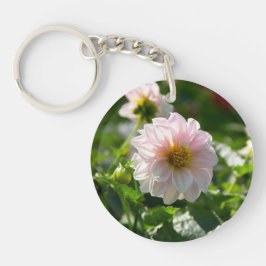 Vit dahlia i trädgårdsfotot