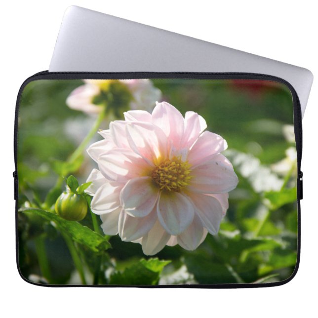 Vit dahlia i trädgårdsfotot laptop fodral (Framsidan)