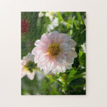 Vit dahlia i trädgårdsfotot