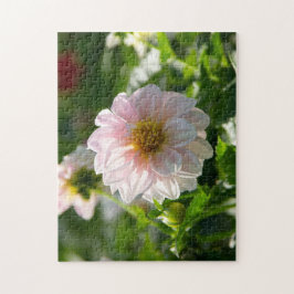 Vit dahlia i trädgårdsfotot pussel